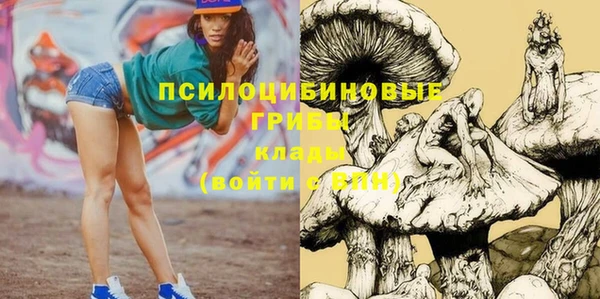 первитин Балахна